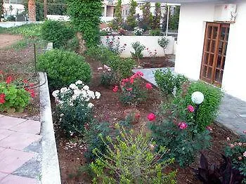 Olympia * Stalos