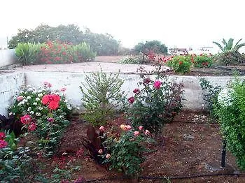 Olympia Apartamento